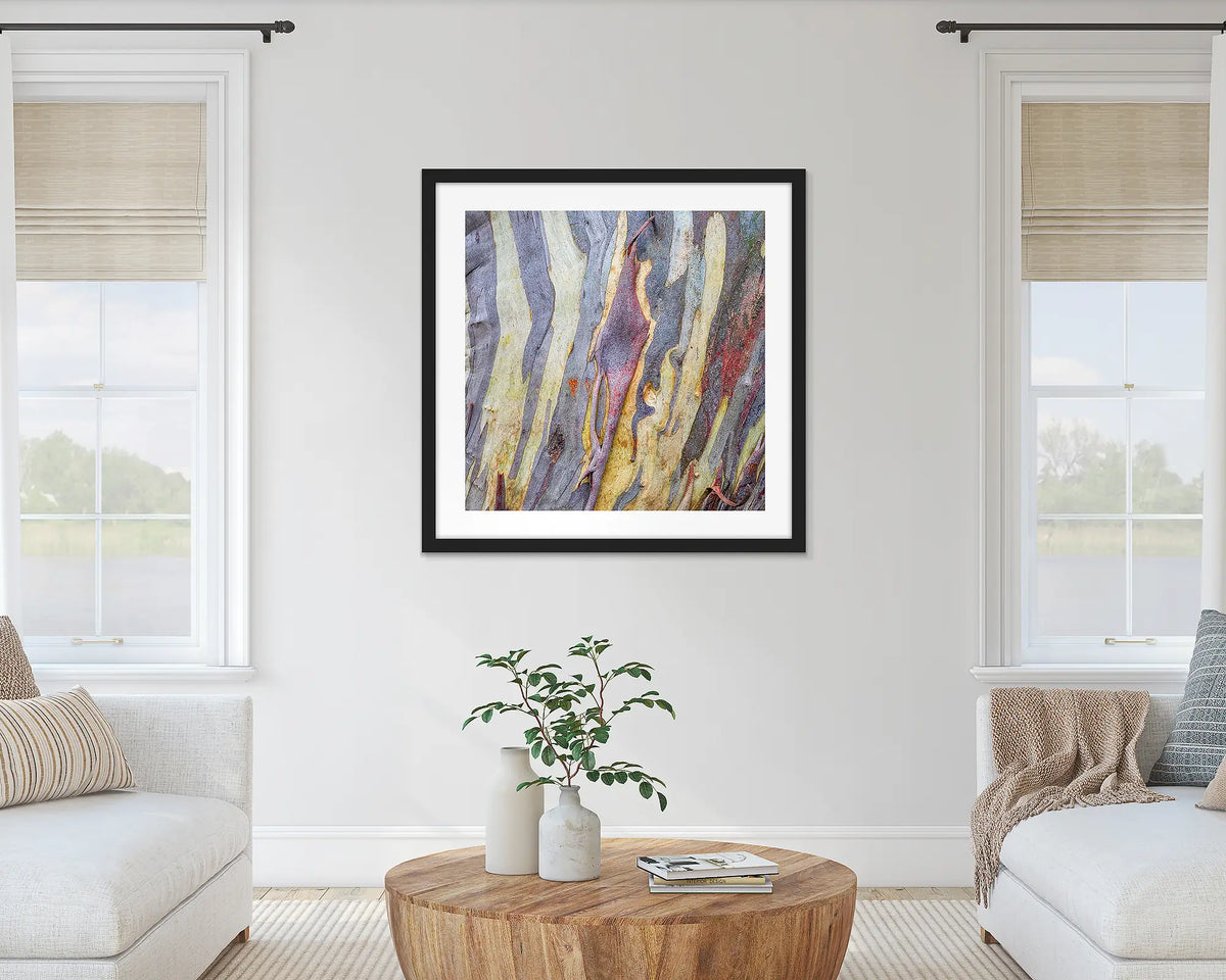Buller Bark. Abstract wall art print of snow gum bark on Mount Buller, framed with a black frame, hung in a light-filled room. 