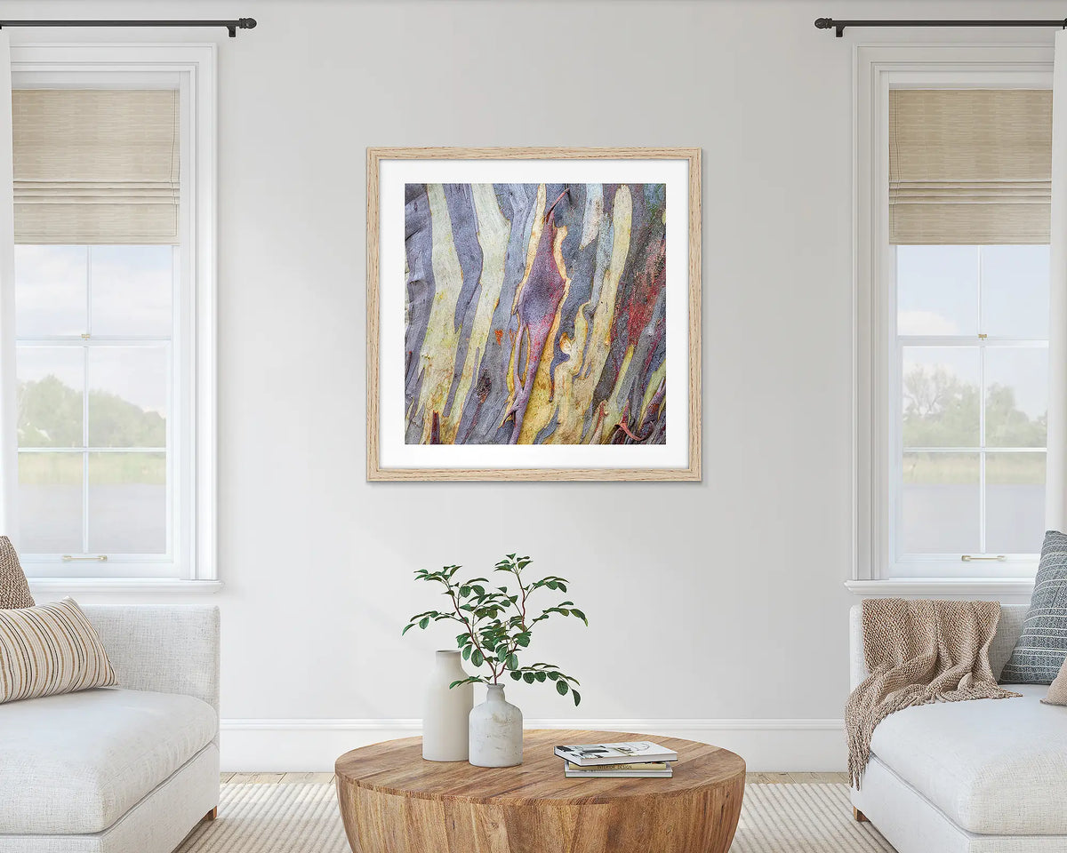 Buller Bark. Abstract wall art print of snow gum bark on Mount Buller, framed with a timber frame, hung in a light-filled room. 