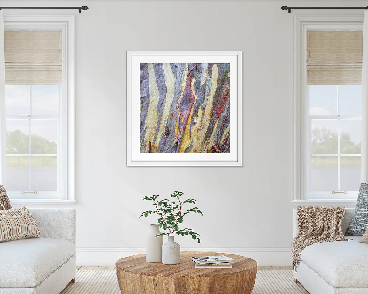 Buller Bark. Abstract wall art print of snow gum bark on Mount Buller, framed with a white frame, hung in a light-filled room. 