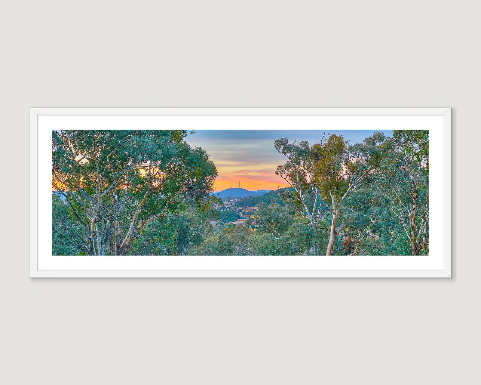 Framed artwork of Canberra Bushland with a view to a sunset over Black Mountain. 