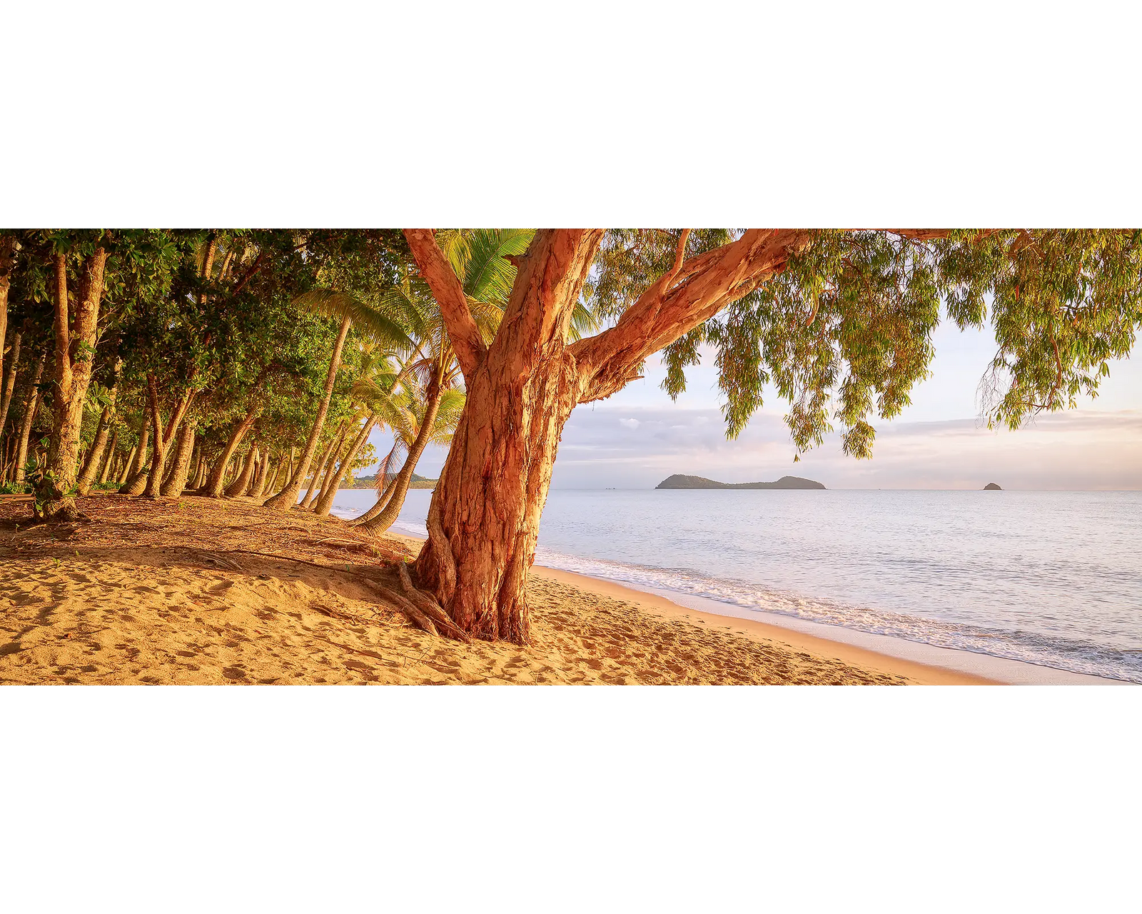 Cairns Escape. Sunrise on Cairns beach, Queensland, Australia. 