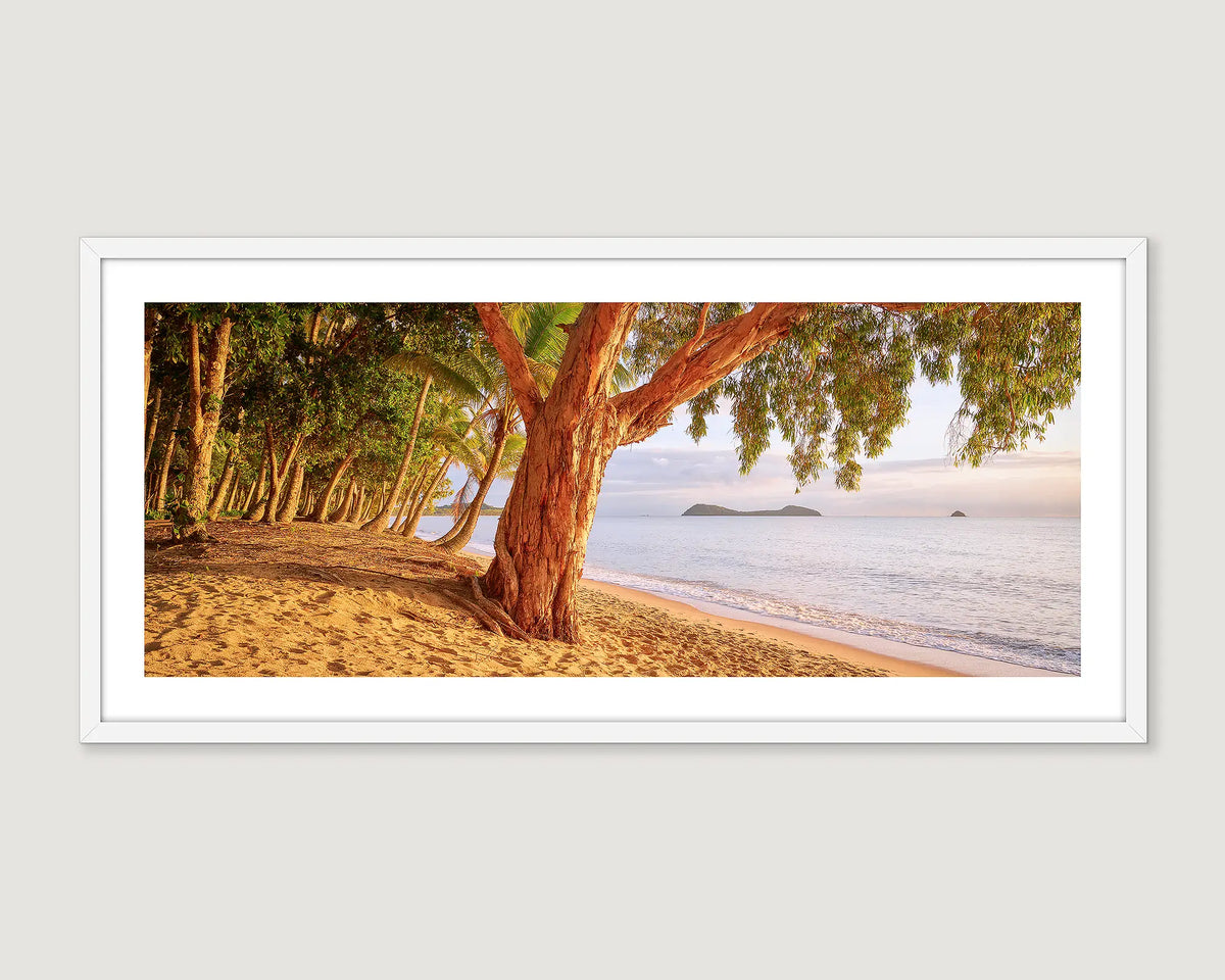 Framed photograph of a coastal scene of tropical Cairns. 