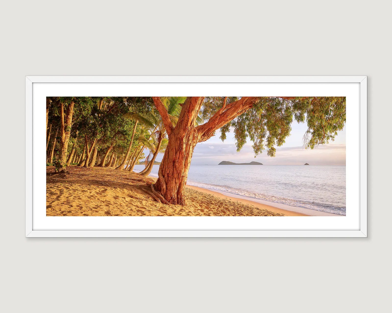 Framed photograph of a coastal scene of tropical Cairns. 