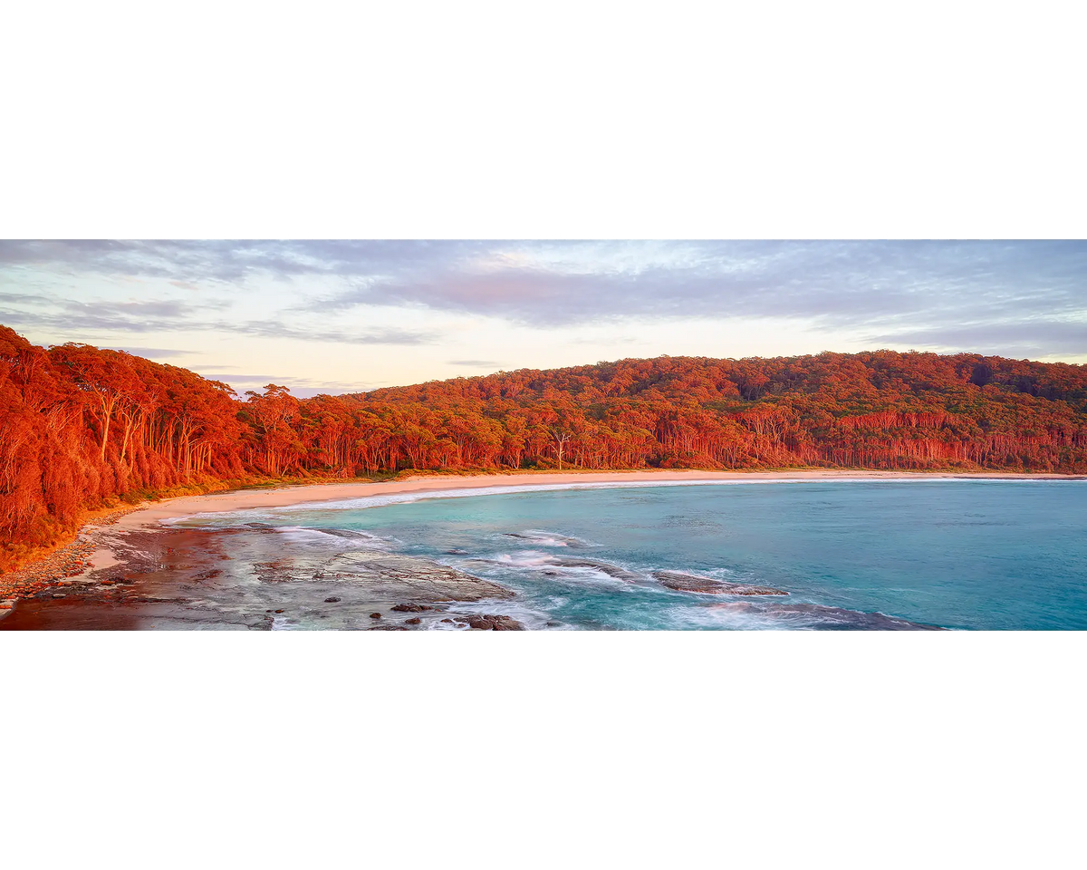Depot Beach with forest coloured red at sunrise.
