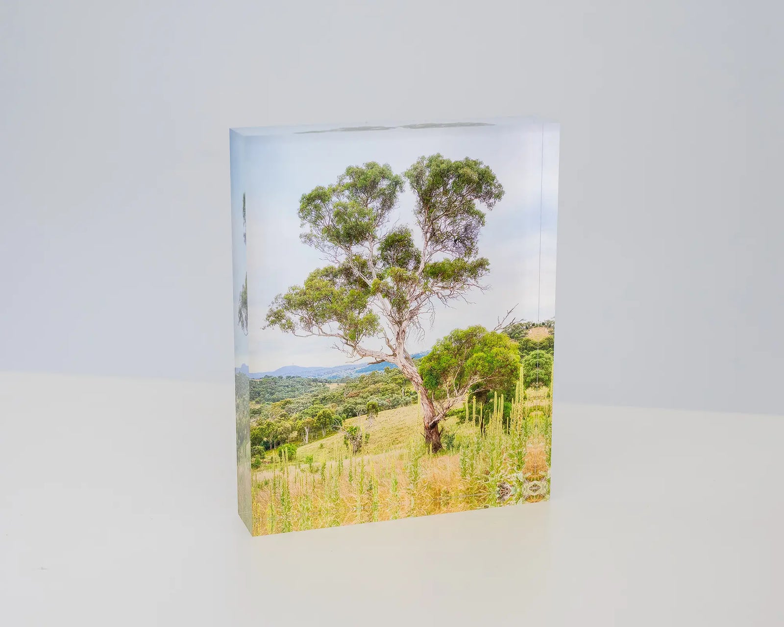 Canberra Hills. Acrylic block of Wanniassa Hills Nature Reserve, Canberra.