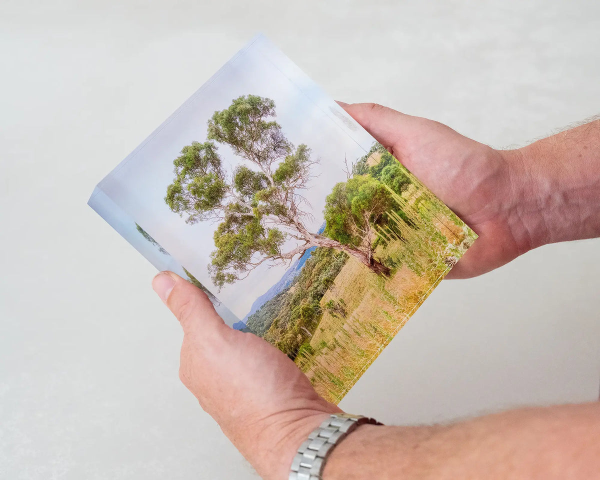 Canberra Hills. Acrylic block of Wanniassa Hills Nature Reserve, held in hands.