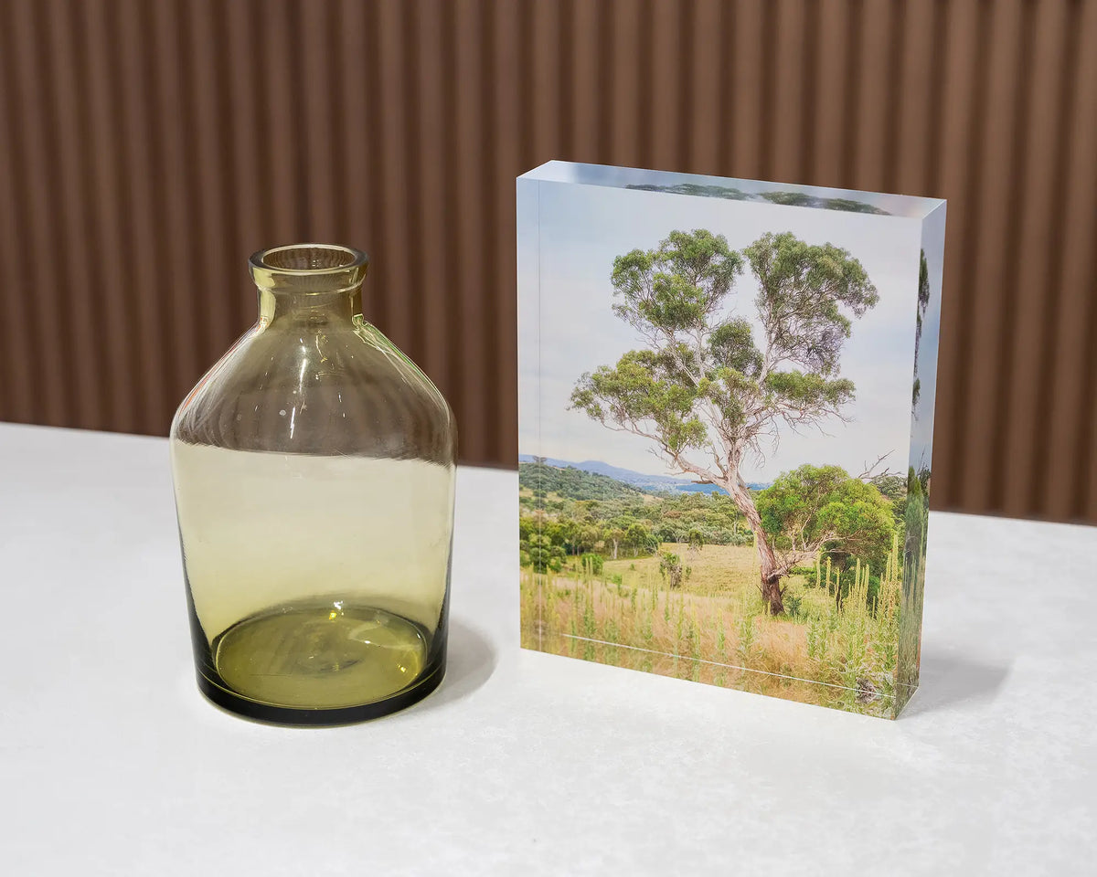 Canberra Hills. Acrylic block of Wanniassa Hills Nature Reserve, on desk styled with a small vase.