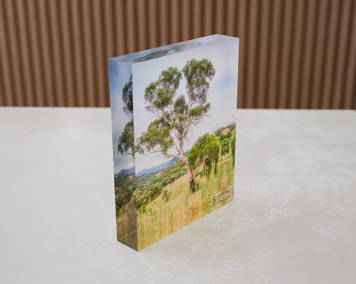 Canberra Hills. Acrylic block of Wanniassa Hills Nature Reserve, side view.