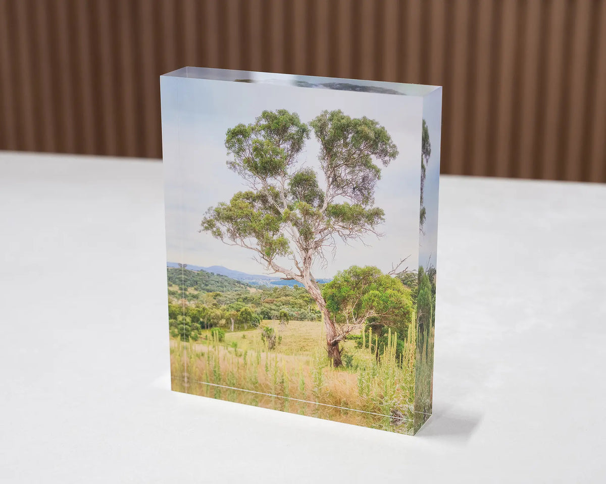 Canberra Hills. Acrylic block of Wanniassa Hills Nature Reserve, sitting on a desk.