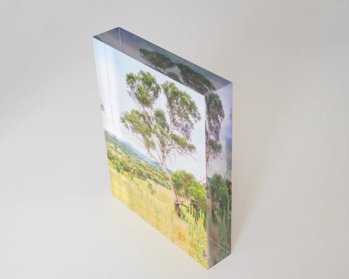 Canberra Hills. Acrylic block of Wanniassa Hills Nature Reserve, top side view showing 3D effect.