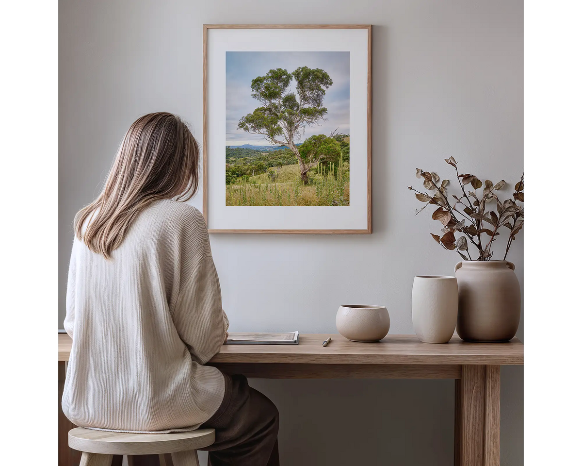 Canberra Hills. Gum tree photography artwork, with a timber frame, hung in a study nook. 