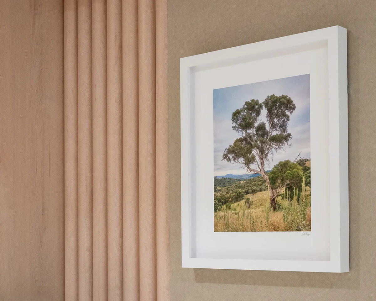 Canberra Hills. Gum tree wall art print with white frame, hung on beige wall with wood panelling.