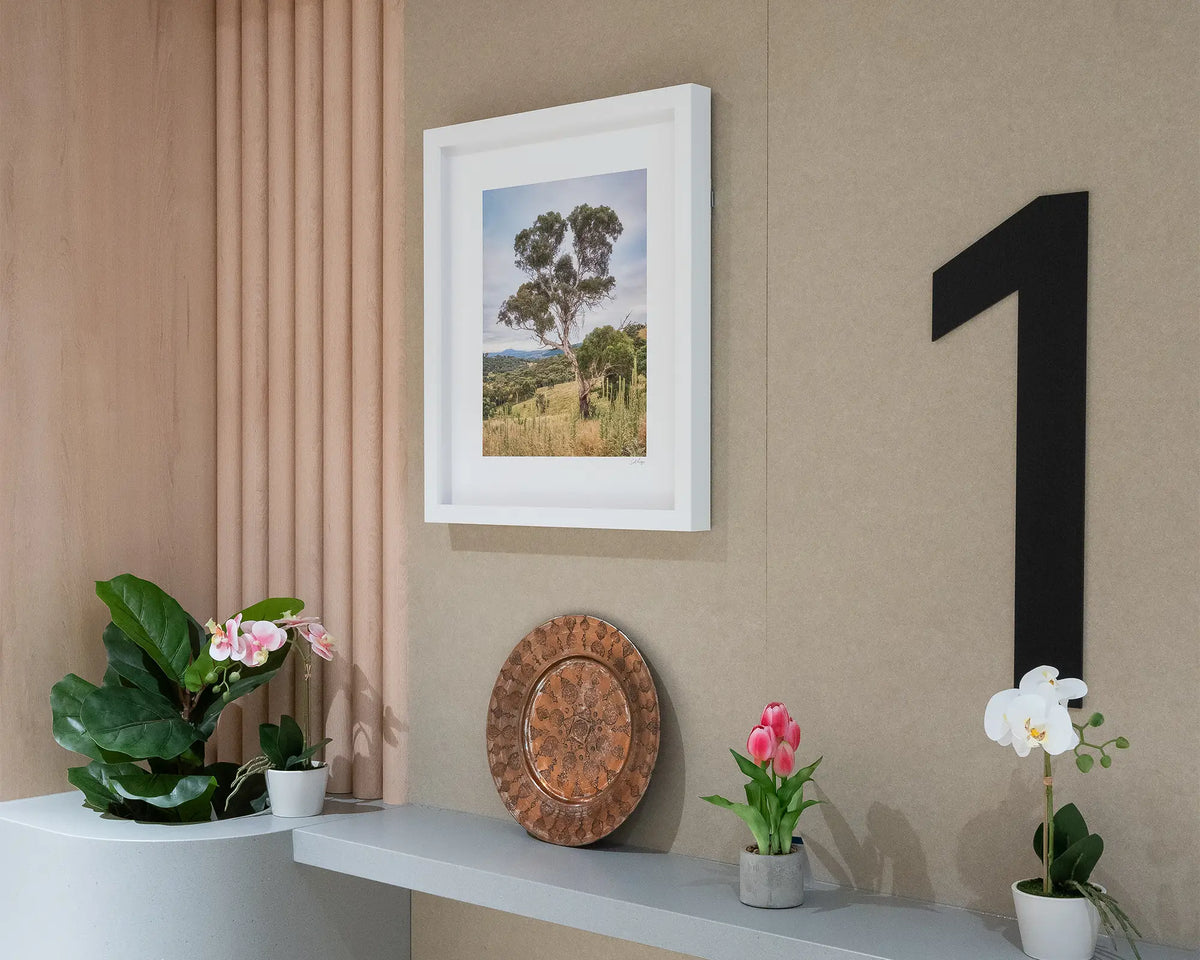 Canberra Hills. Gum tree wall art print with white frame, hung on first floor entrance in apartment building.