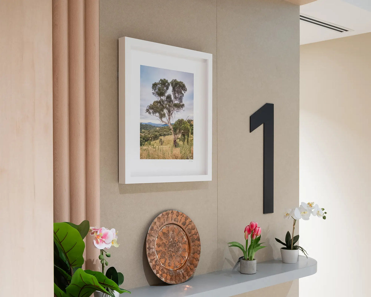 Canberra Hills. Gum tree wall art with white frame, hung on first floor entrance in apartment building.