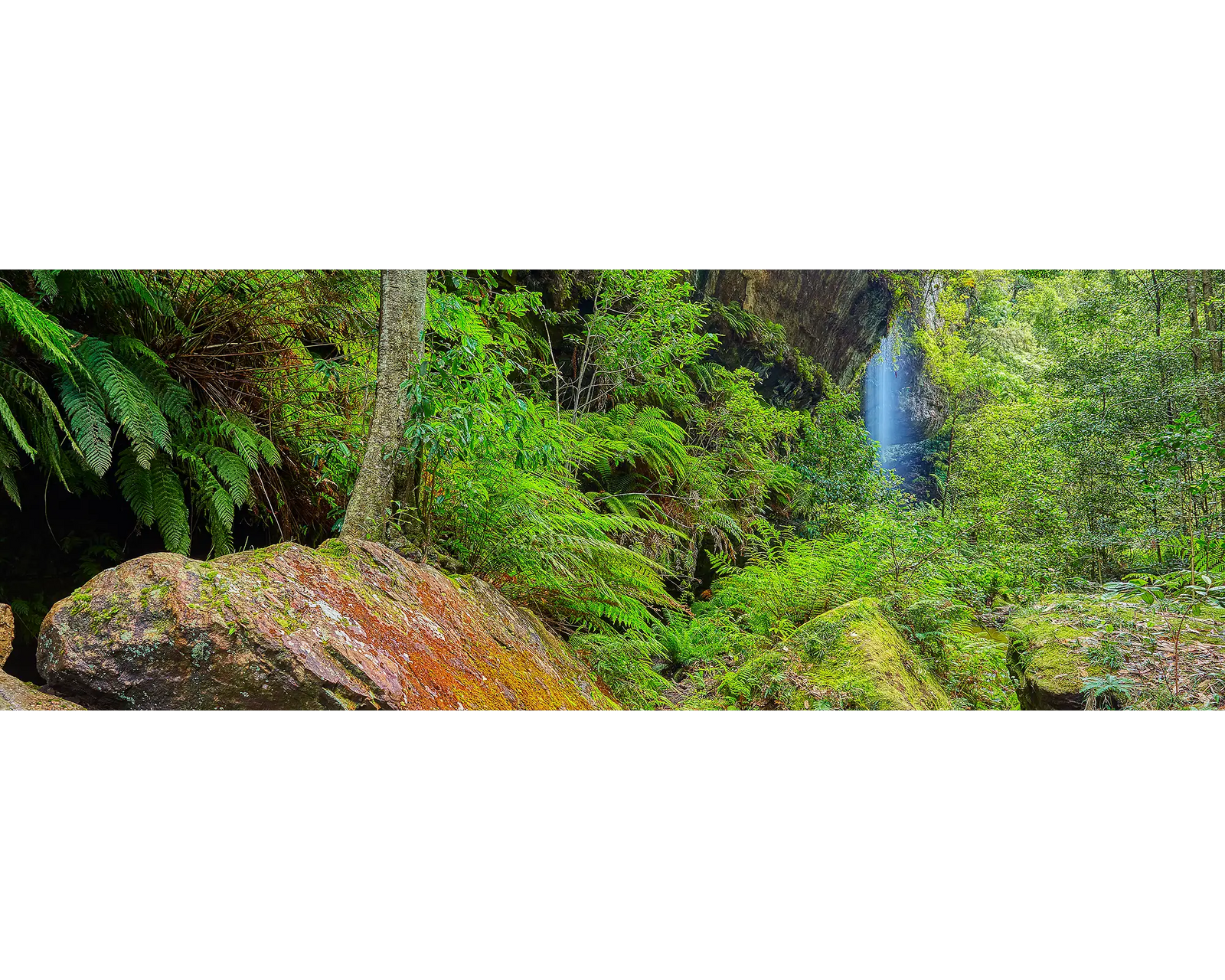 Water flowing over rocks and lush green forest in Grand Canyon, Blue Mountains National Park, NSW.