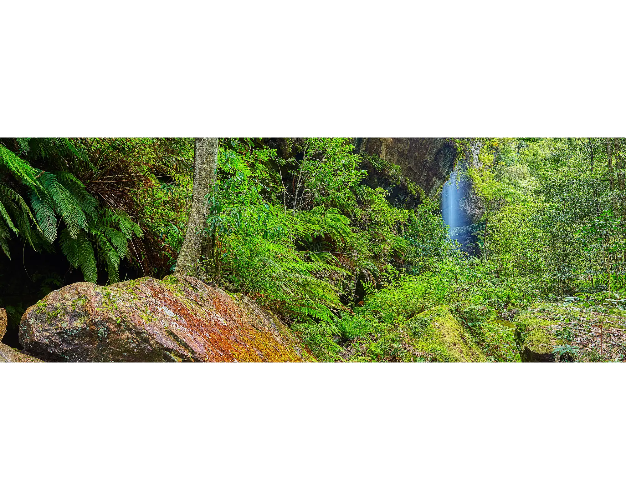 Water flowing over rocks and lush green forest in Grand Canyon, Blue Mountains National Park, NSW.