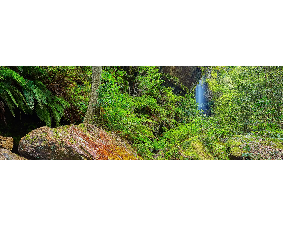 Canyon Escape. Grand Canyon, Blue Mountains, New South Wales, Australia.