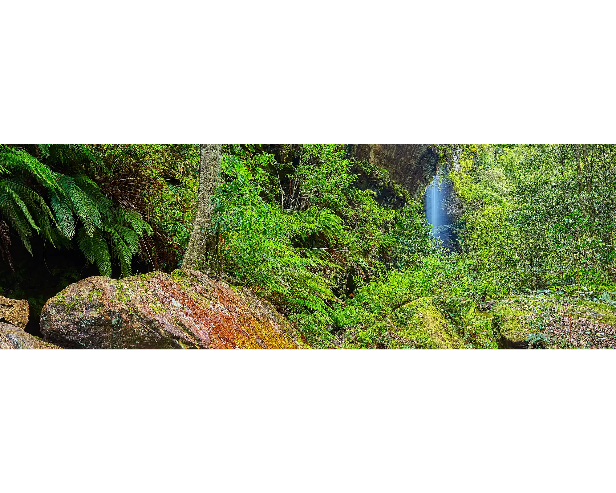 Canyon Escape. Grand Canyon, Blue Mountains, New South Wales, Australia.