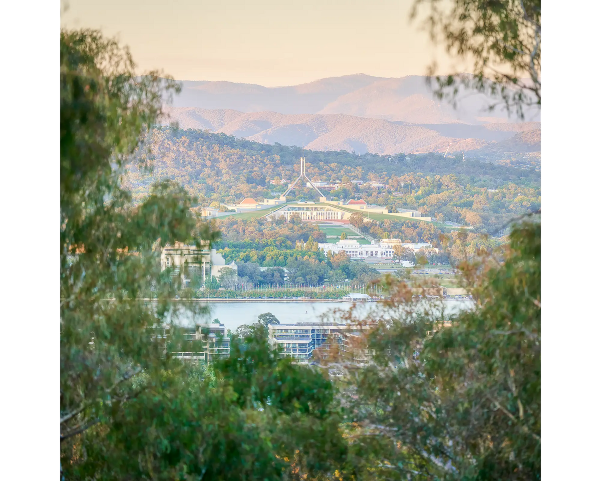 Capital View. Looking through gum trees to Parliament House, Canberra.