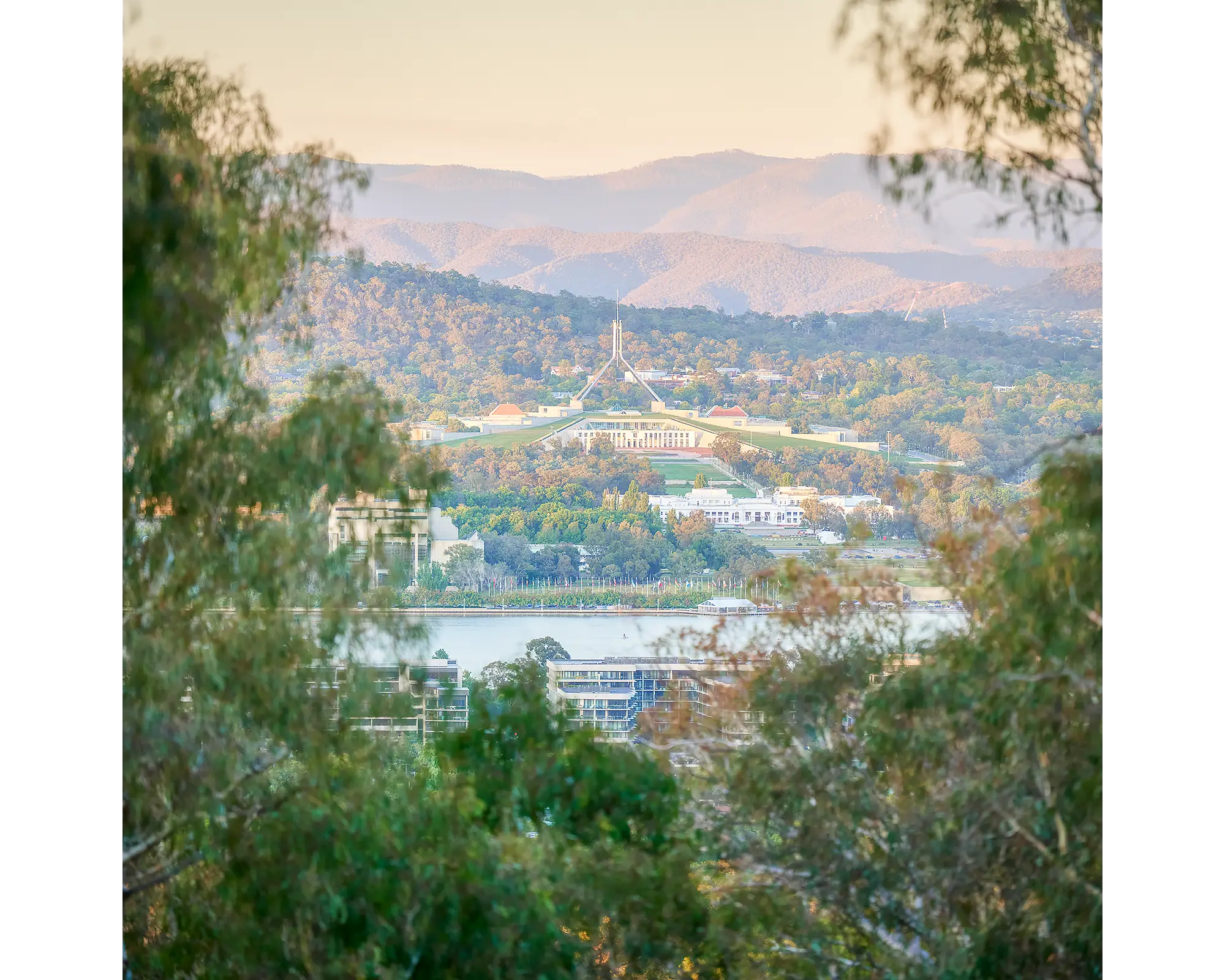 Capital View. Looking through gum trees to Parliament House, Canberra.