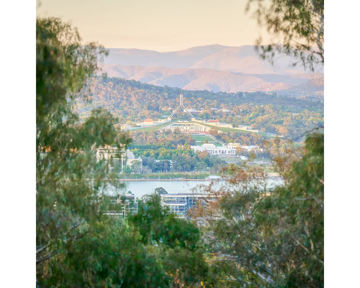 The view from Mount Ainslie, through gum trees looking towards Parliament House, Canberra. 