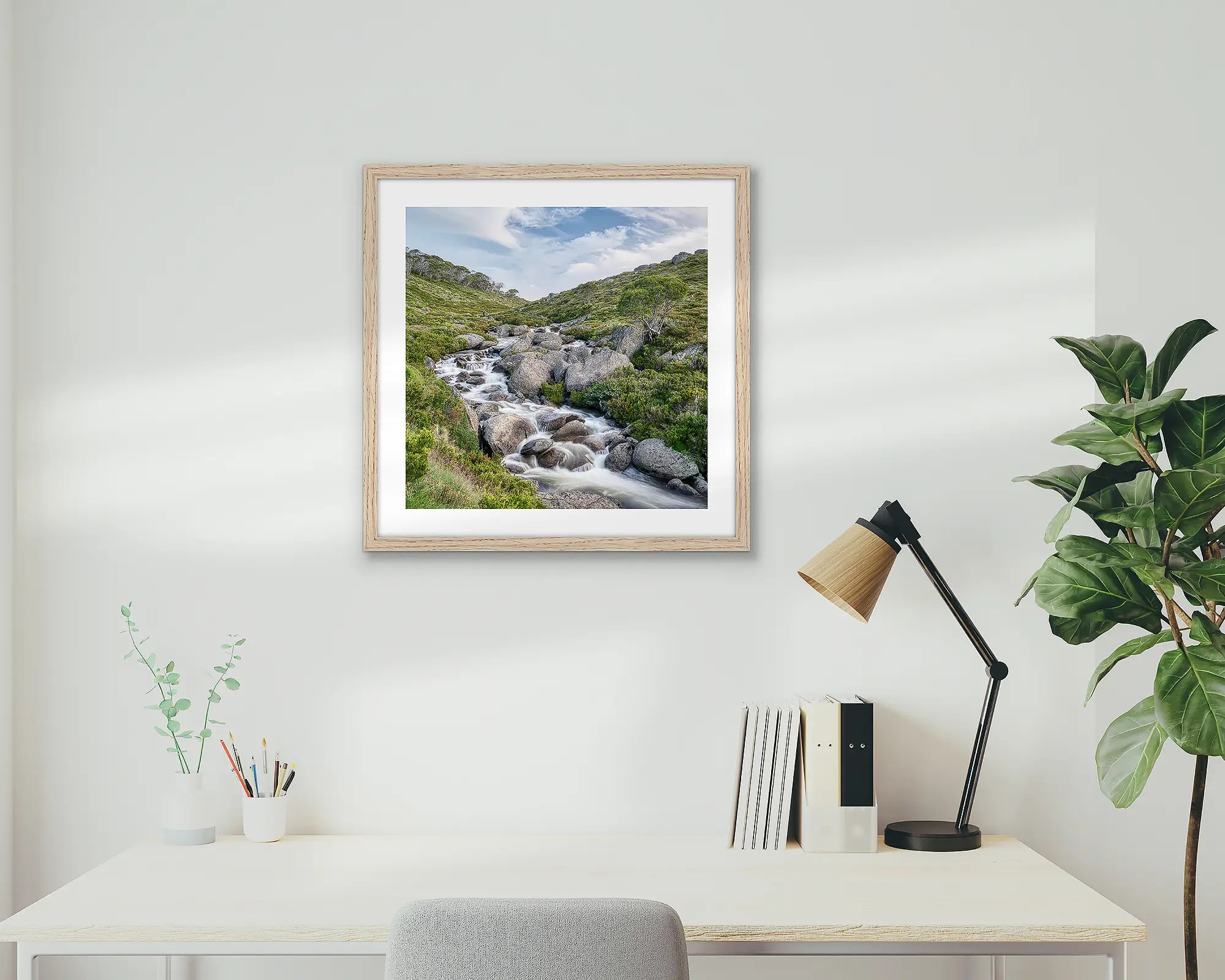 Cascade. Thredbo River, Pilot Wilderness Area, Kosciuszko National Park.