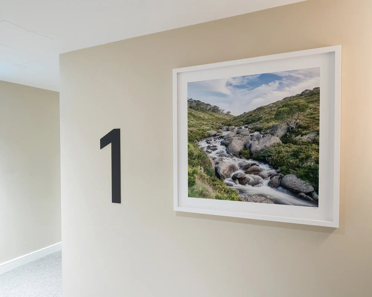 Cascade. Thredbo River, Pilot Wilderness area, Kosciuszko National Park, on display first floor commercial space.