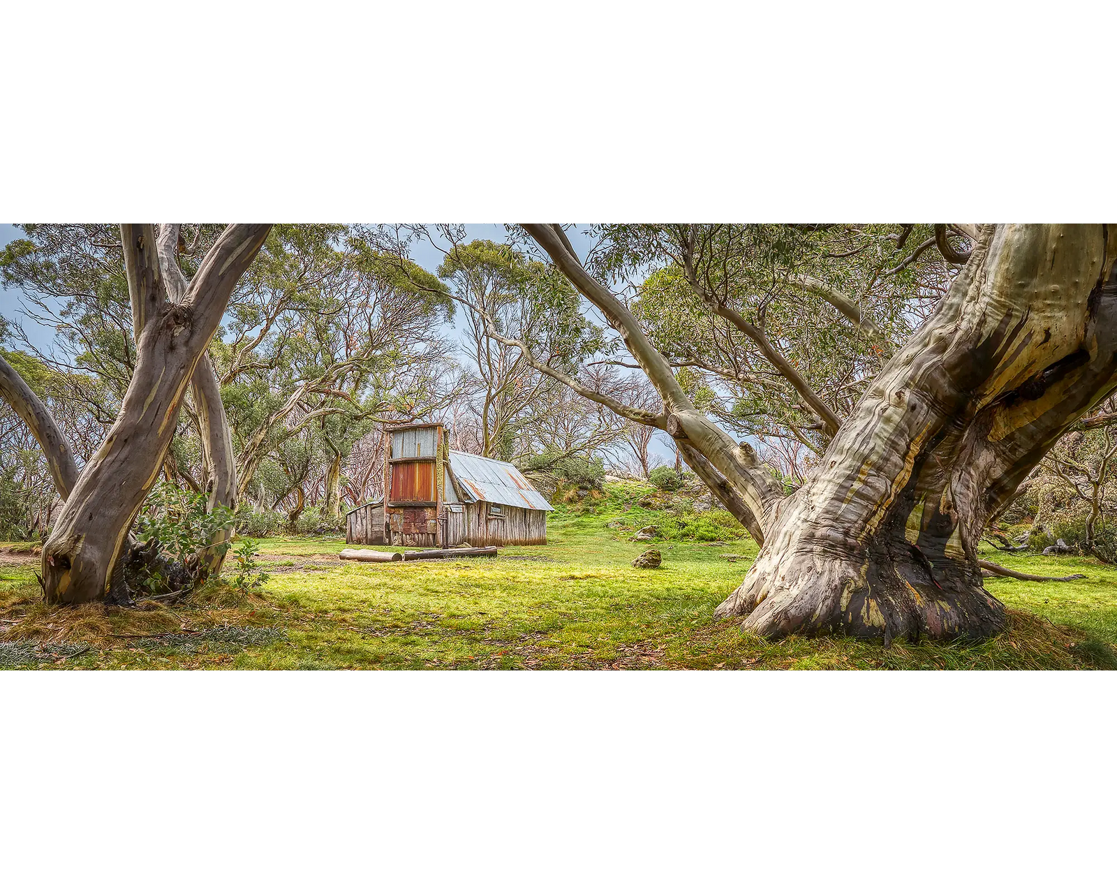 Cattleman's Rest. Wallaces Hut, Alpine National Park.