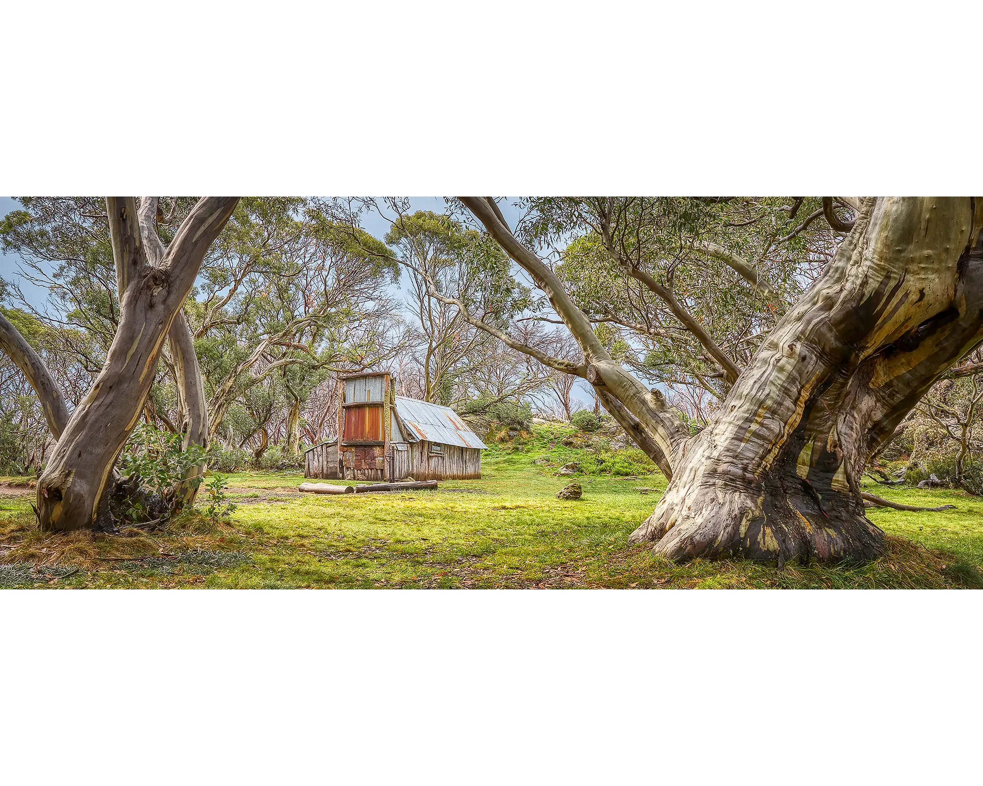 Cattlemans Rest - Wallaces Hut, Alpine National Park