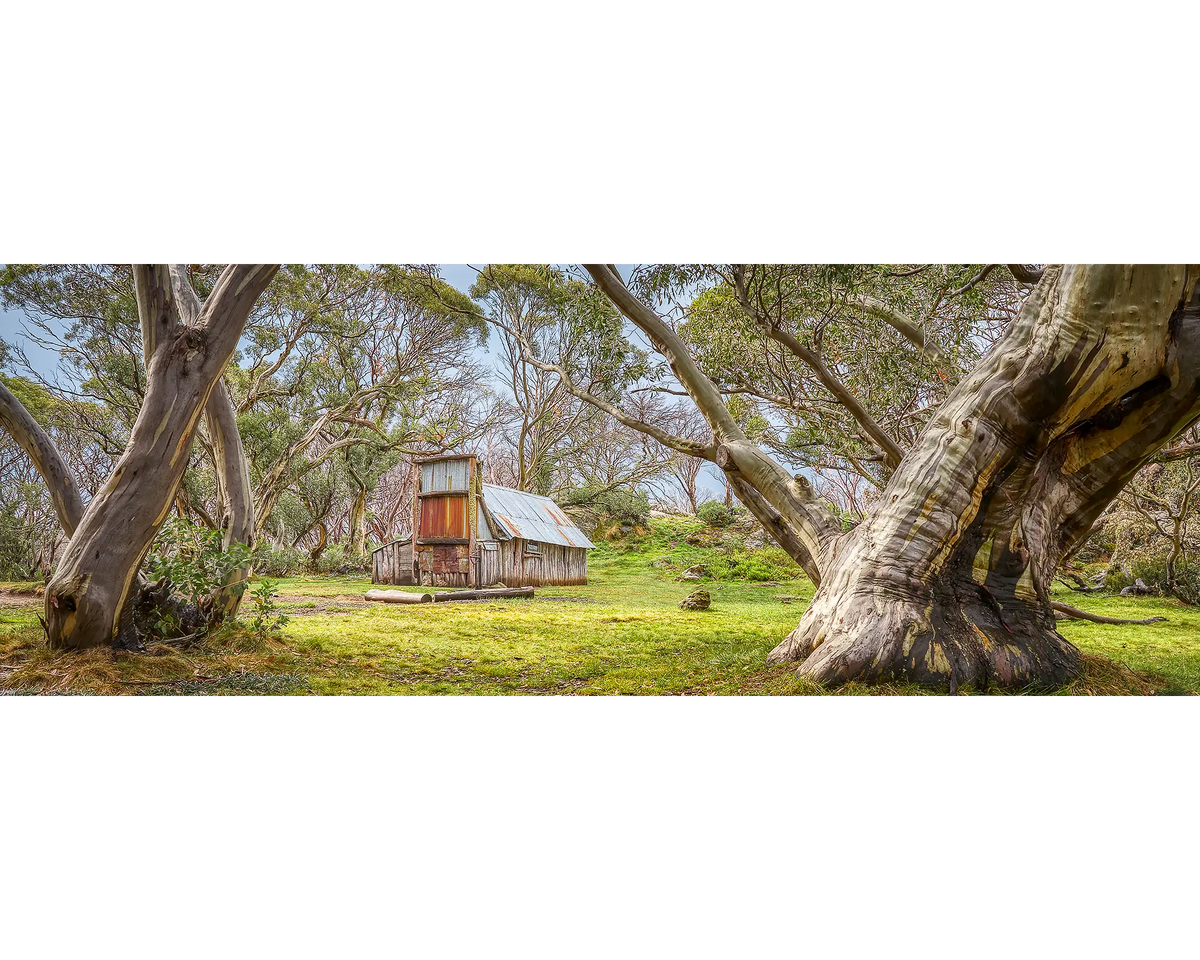 Wallace&#39;s Hut amongst snow gums in the Alpine National Park, Victoria.
