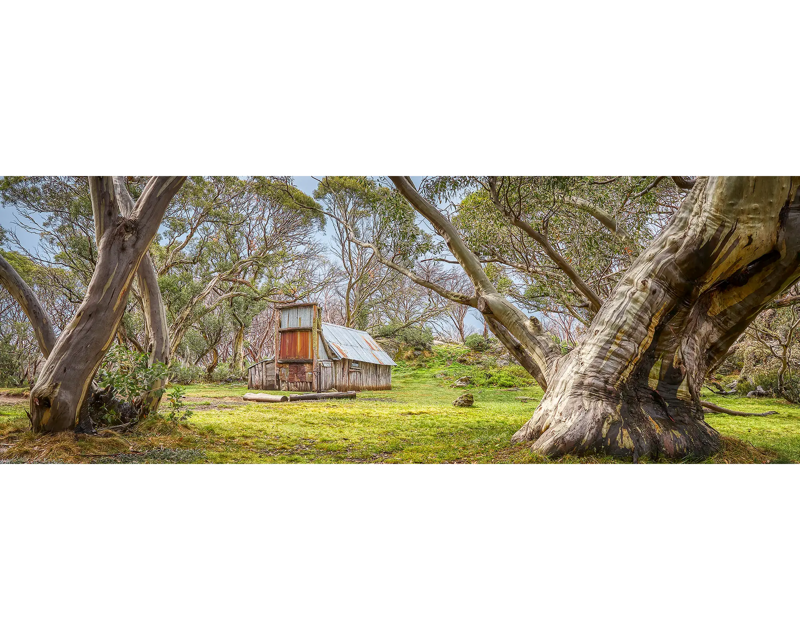 Wallace's Hut amongst snow gums in the Alpine National Park, Victoria.