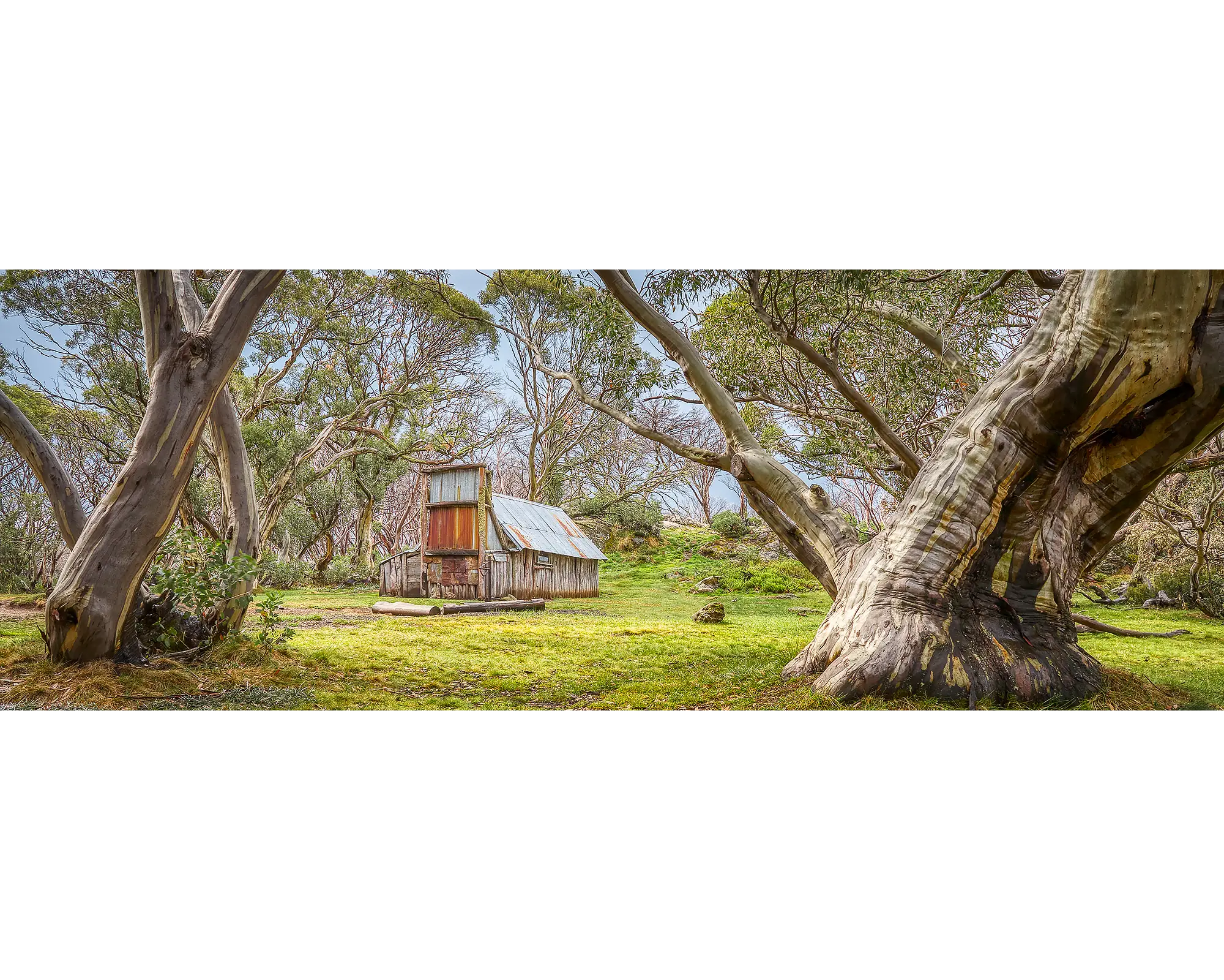 Wallace's Hut amongst snow gums in the Alpine National Park, Victoria.