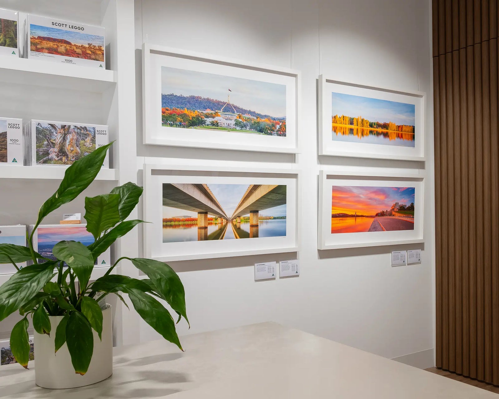 Framed photograph of poplar trees around Lake Burley Griffin turning gold in autumn with Parliament House in the background. 