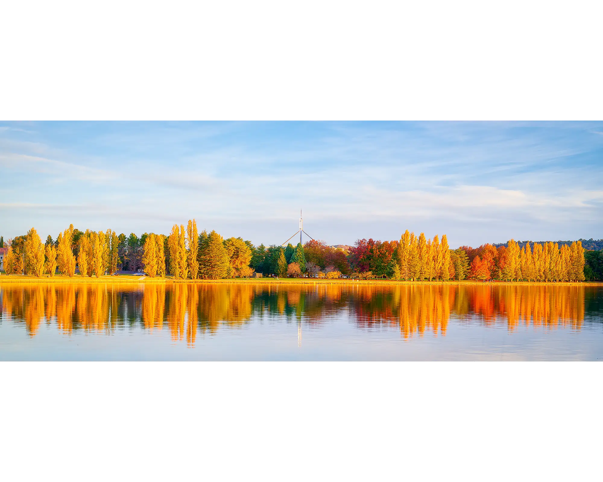 Changing Seasons. Autumn trees at sunset beside Lake Burley Griffin.