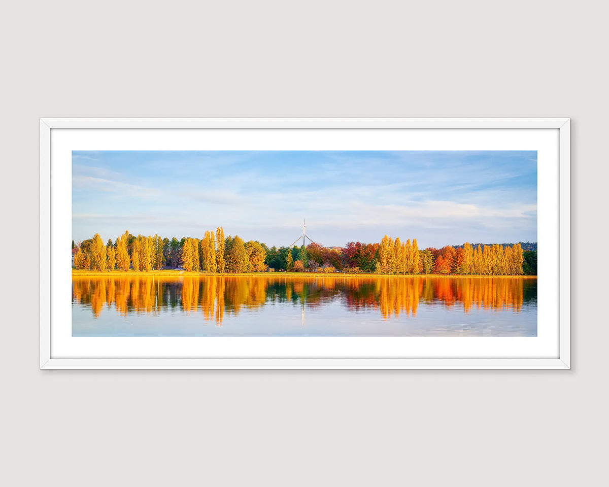 Framed photograph of poplar trees around Lake Burley Griffin turning gold in autumn with Parliament House in the background. 