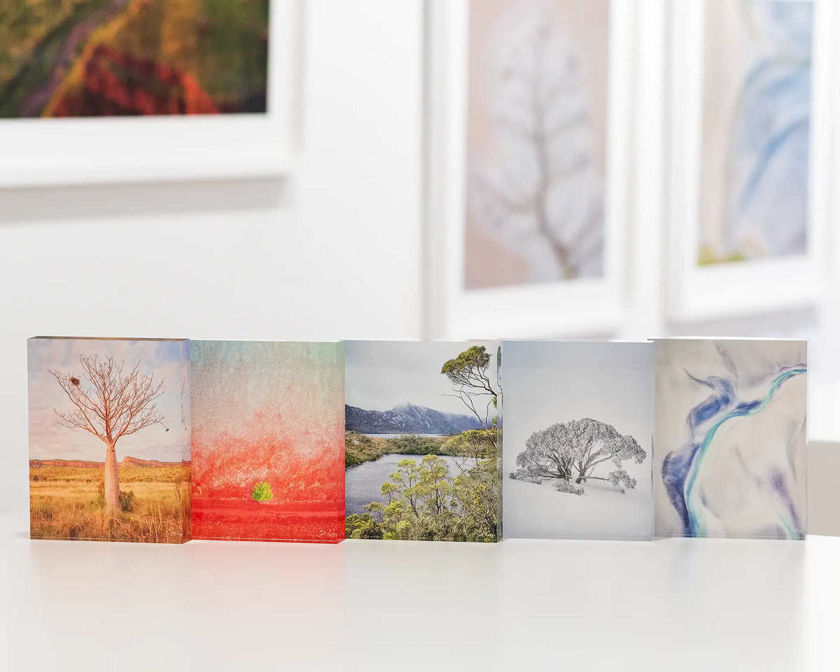 Chilled acrylic block snow gum in snow Mount Hotham sitting with other blocks on desk.