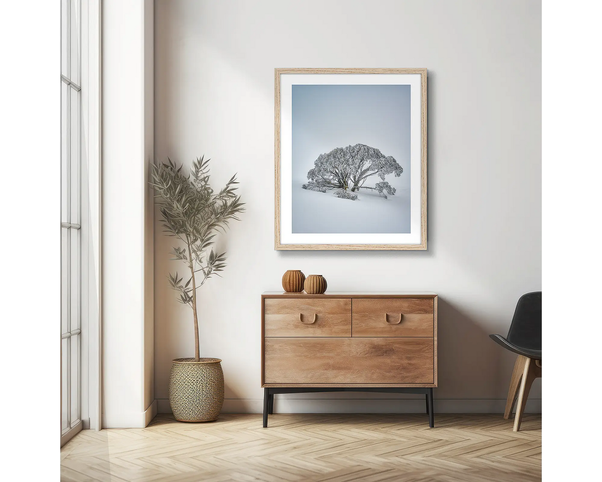 Chilled. Snow gum photographic wall art print with a Tassie Oak frame, hung in a scandi hallway. 