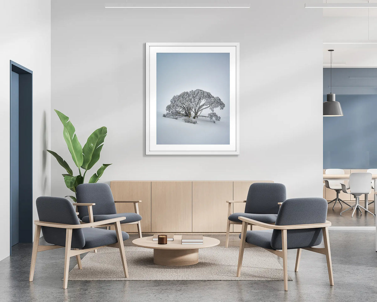 Chilled. Wall art print of a snow gum covered in snow, on Mount Hotham, with a white frame hung in a reception area. 