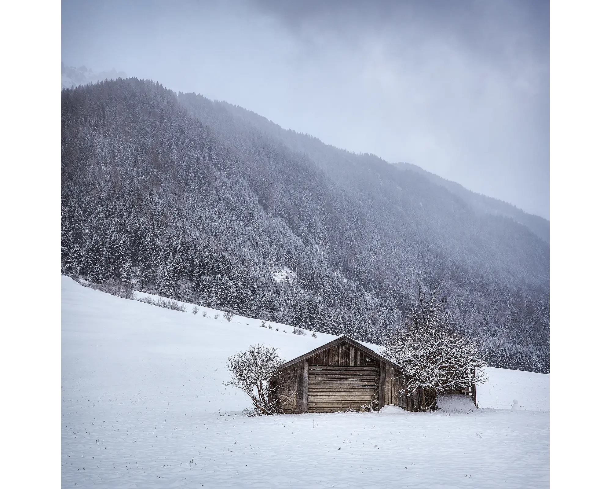 Christmas Snow. Farmhouse covered in snow, Nustift, Tyrol, Austria.