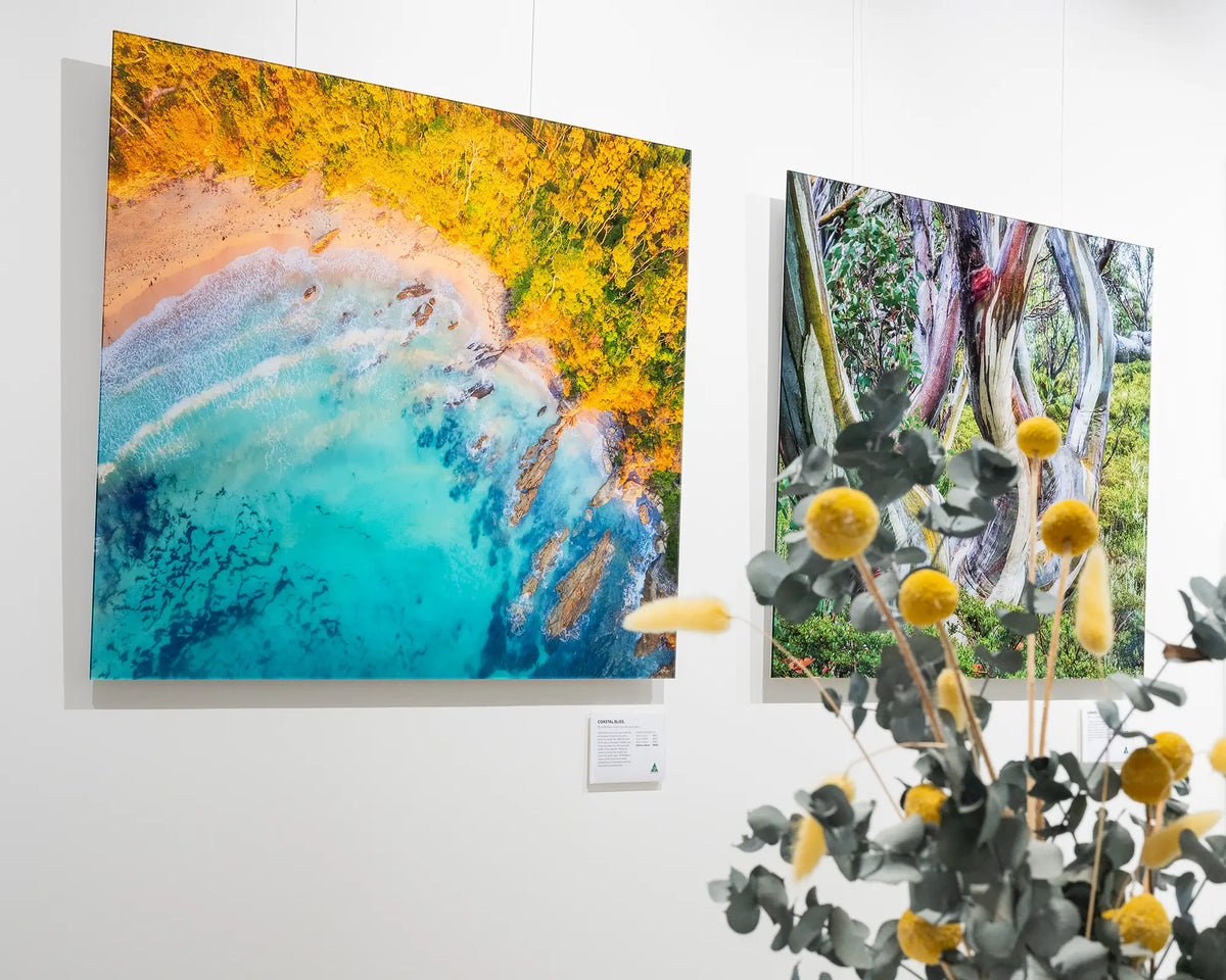 Coastal Bliss. Aerial coastal frameless acrylic artwork, in gallery with flowers in the foreground.