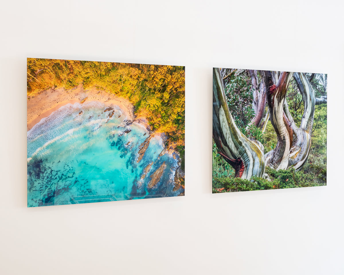 Coastal Bliss. Aerial coastal wall art frameless acrylic on gallery wall with snow gum artwork.