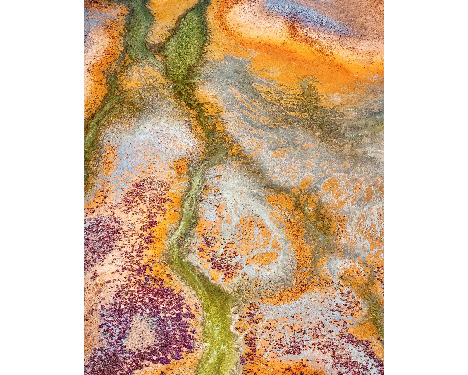 Collision. Aerial abstract patterns viewed from above Roebuck Plains in the Kimberley, Western Australia.