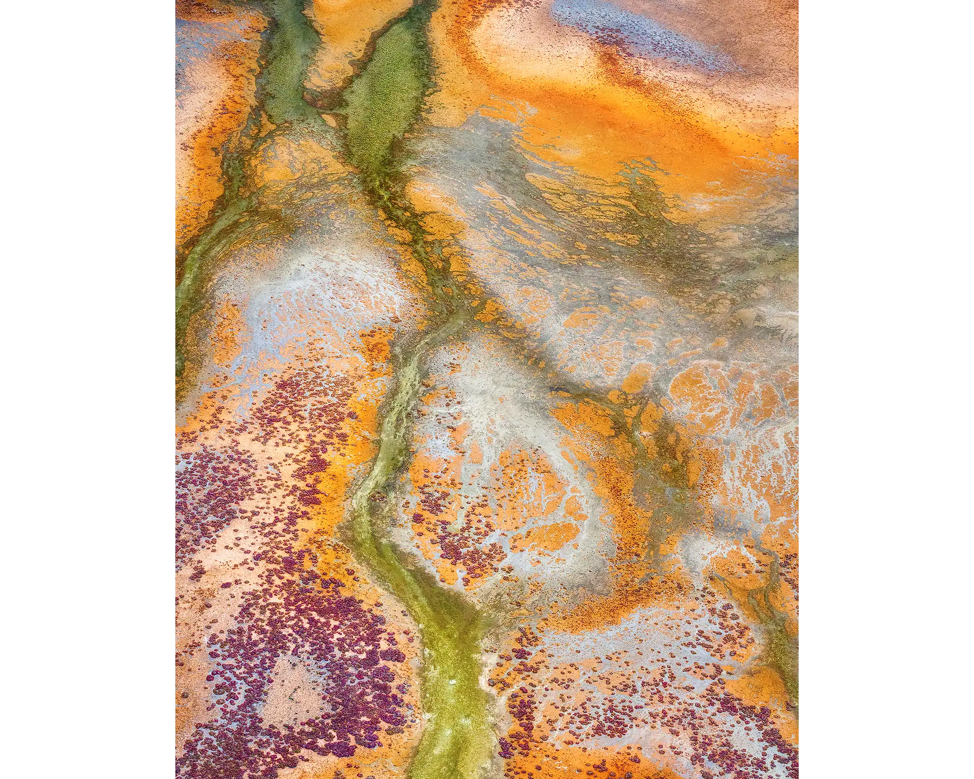 Collision - aerial abstract patterns viewed from above Roebuck Plains in the Kimberley, Western Australia.