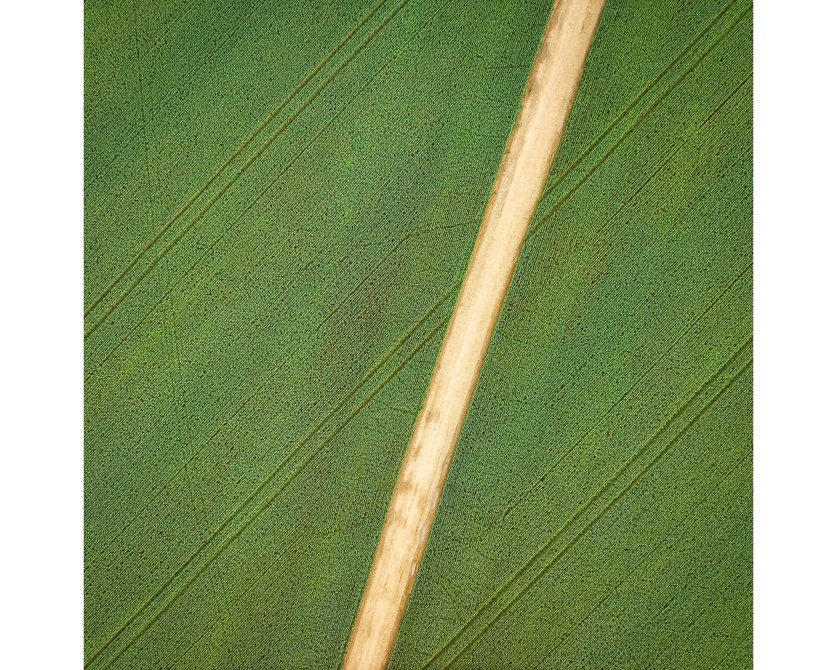 Configuration. Crop patterns from Junee, New South Wales, Australia.