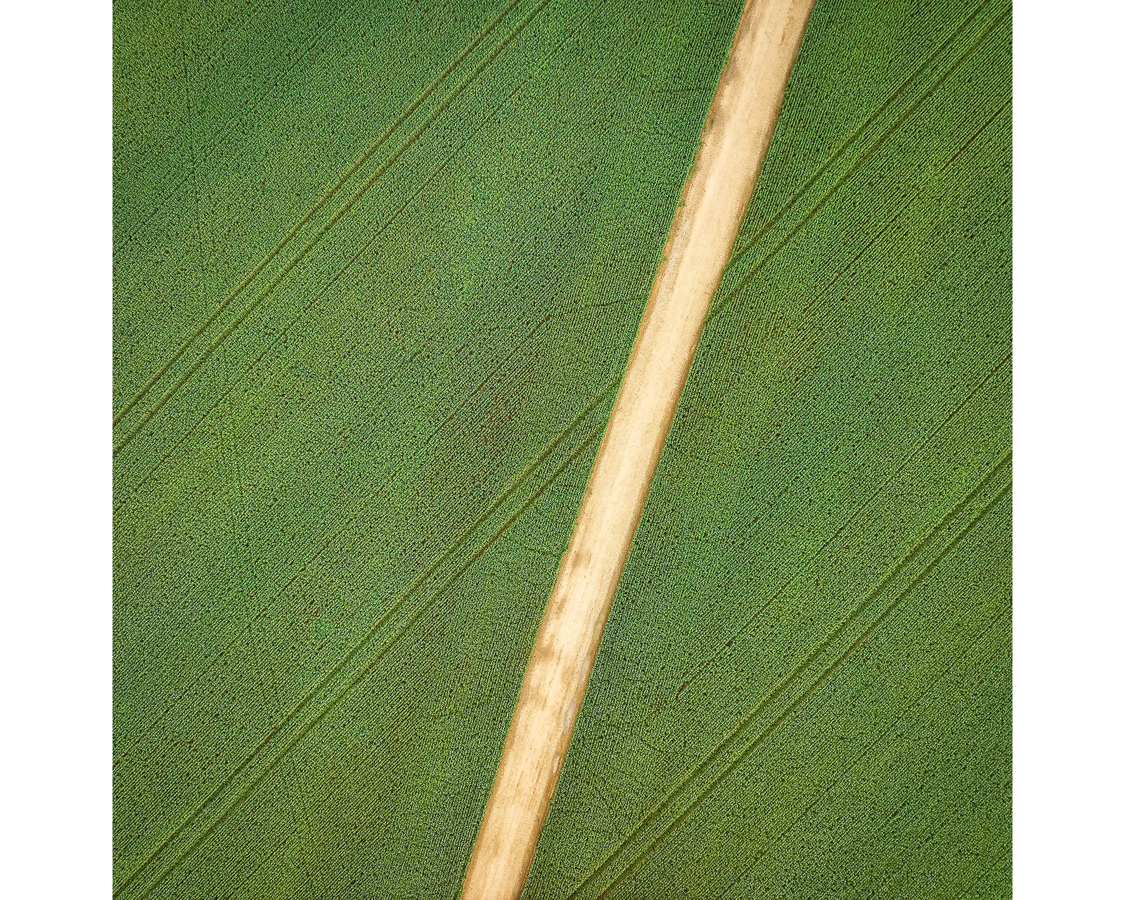 Configuration. Crop patterns from Junee, New South Wales, Australia.