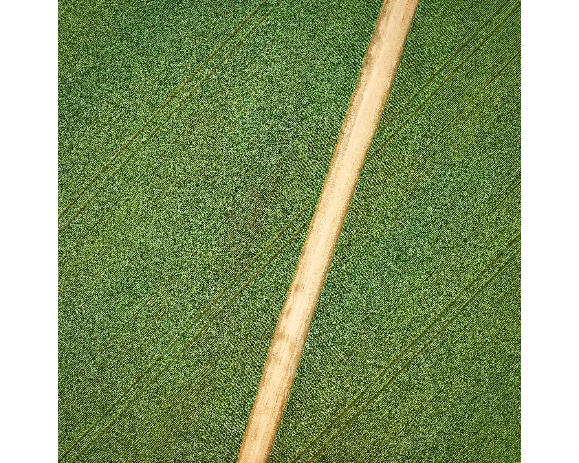 Configuration. Crop patterns from Junee, New South Wales, Australia.
