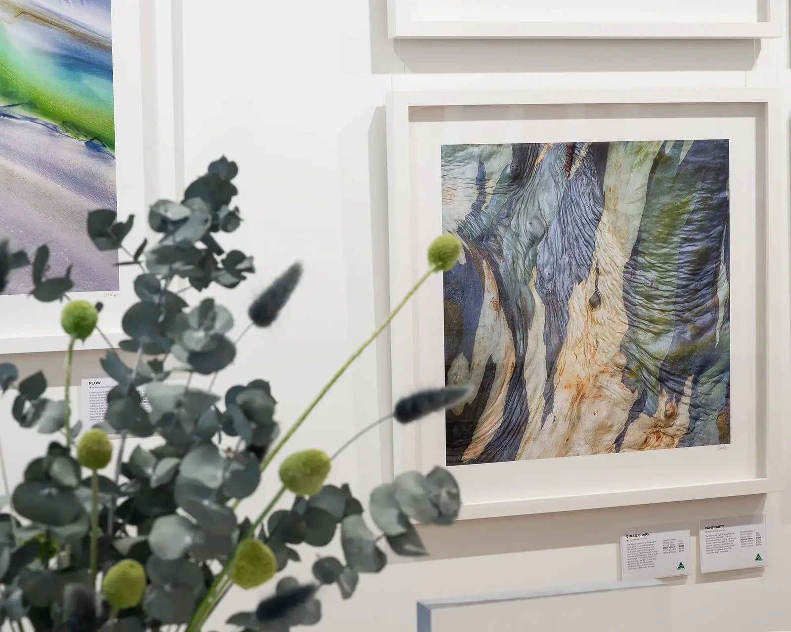 Framed photographic abstract print of a snow gum on Mount Stirling. 