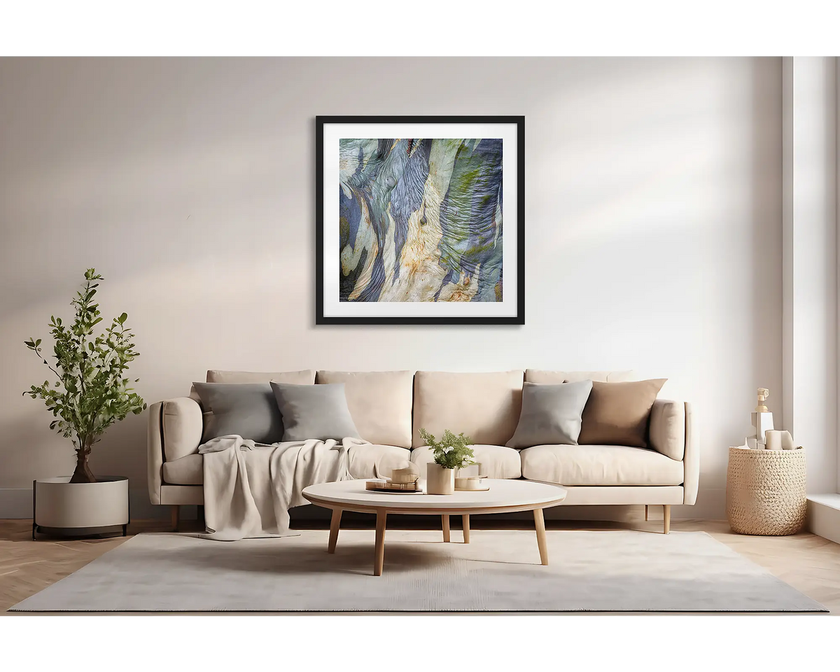 Continuity. Abstract wall art print of snow gum bark, with a black frame, hung above a couch. 