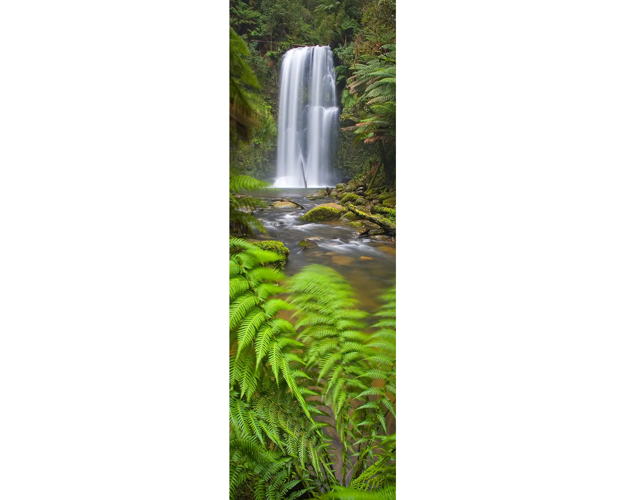 CRashing Over The Edge - Beauchamp Falls waterfall, Victoria, Australia.