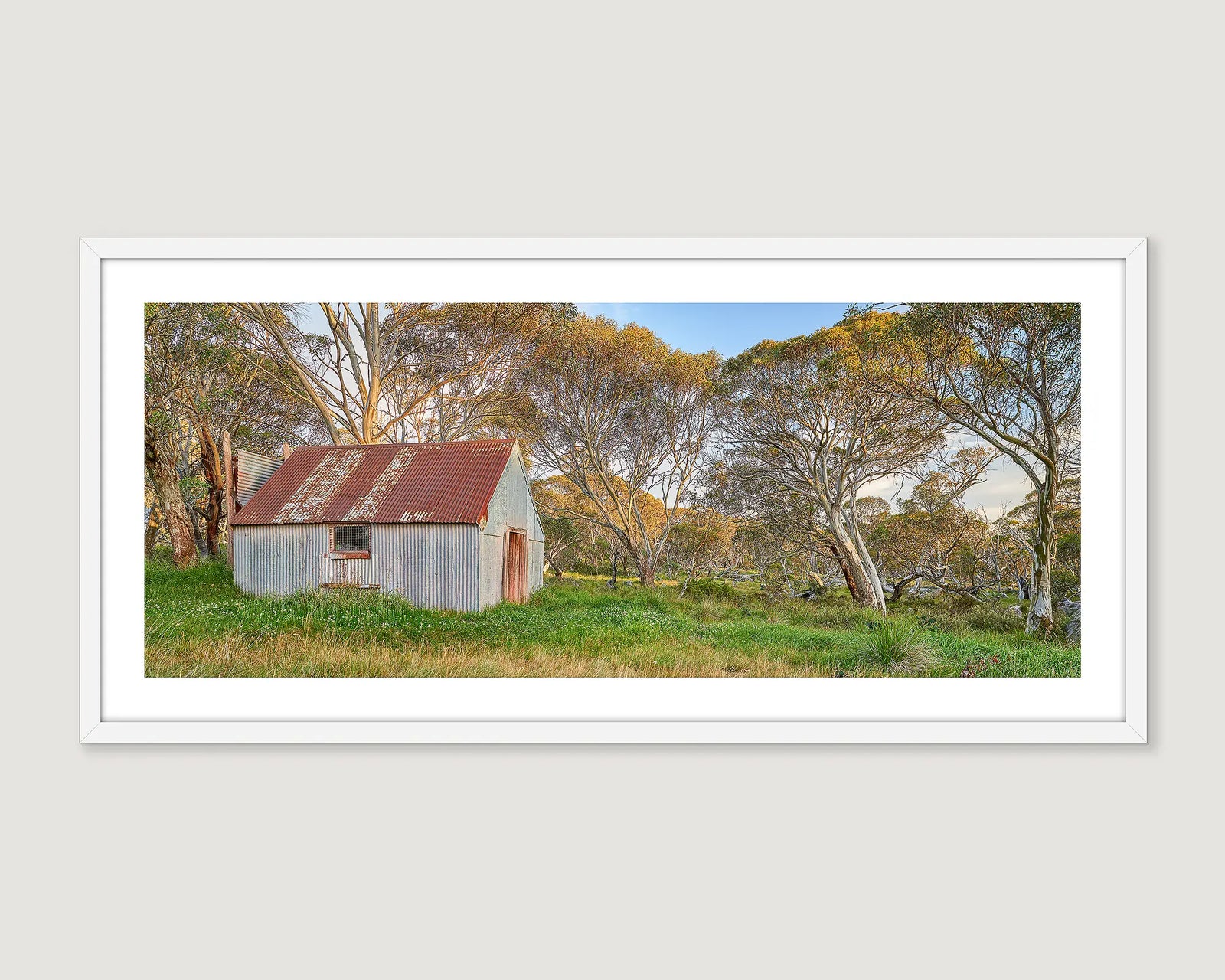 Framed photograph of an early summer morning and a rusty CBR hut at  Diner Plains.